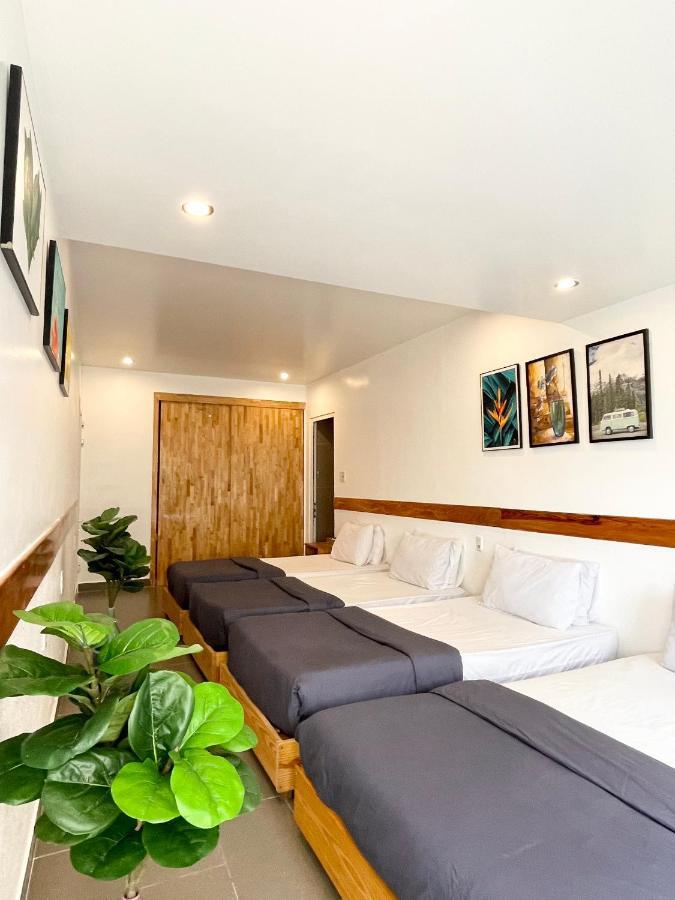 Dalat Topview Homestay Bagian luar foto